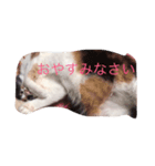 なな＆せいや2（個別スタンプ：3）