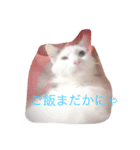 なな＆せいや2（個別スタンプ：4）
