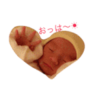 渉のにちじょー（個別スタンプ：1）