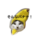 福八ライフ1（個別スタンプ：8）
