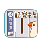 文鳥病院＊通院編（個別スタンプ：9）