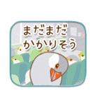 文鳥病院＊通院編（個別スタンプ：16）