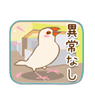 文鳥病院＊通院編（個別スタンプ：17）