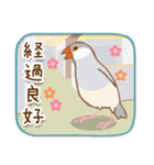 文鳥病院＊通院編（個別スタンプ：18）