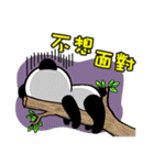 Panda COCO's first show ~（個別スタンプ：22）