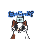 イブのおネコさん（個別スタンプ：22）
