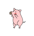 HELLO PIG ！（個別スタンプ：3）