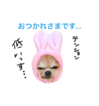ゆずきち子社長 with R3（個別スタンプ：4）
