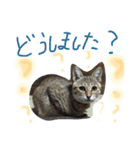 タマ と たまに仲間（個別スタンプ：24）