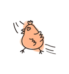 try-co chicken's daily life（個別スタンプ：6）