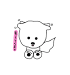 ビションフリーゼ みーちゃんの日常 その❷（個別スタンプ：9）