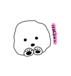 ビションフリーゼ みーちゃんの日常 その❷（個別スタンプ：34）