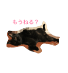 もみじとしずく（個別スタンプ：1）