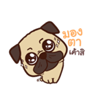 Fifa Pug Dog（個別スタンプ：16）