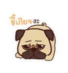 Fifa Pug Dog（個別スタンプ：33）