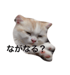 それいけ らんまる！（個別スタンプ：15）