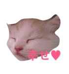 それいけ らんまる！（個別スタンプ：17）