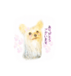 ヨーキーのえるくん（個別スタンプ：6）