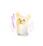 ヨーキーのえるくん（個別スタンプ：8）