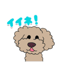 親バカ愛犬家の自己満スタンプ（個別スタンプ：6）
