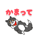 親バカ愛犬家の自己満スタンプ（個別スタンプ：8）