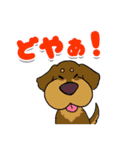 親バカ愛犬家の自己満スタンプ（個別スタンプ：12）