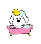 親バカ愛犬家の自己満スタンプ（個別スタンプ：13）