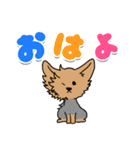 親バカ愛犬家の自己満スタンプ（個別スタンプ：15）
