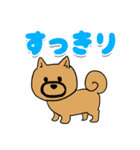 親バカ愛犬家の自己満スタンプ（個別スタンプ：19）