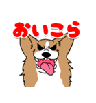 親バカ愛犬家の自己満スタンプ（個別スタンプ：20）