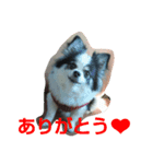 レオンの日常会話（個別スタンプ：1）