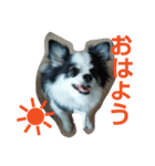 レオンの日常会話（個別スタンプ：3）