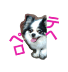 レオンの日常会話（個別スタンプ：6）
