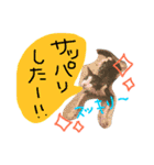 トムの気ままスタンプ2！（個別スタンプ：6）