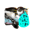 トムの気ままスタンプ2！（個別スタンプ：10）