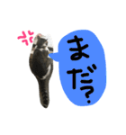 トムの気ままスタンプ2！（個別スタンプ：19）