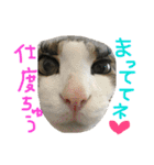トムの気ままスタンプ2！（個別スタンプ：27）