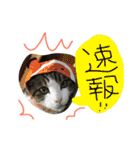 トムの気ままスタンプ2！（個別スタンプ：35）
