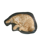 ねこ まったり（個別スタンプ：2）