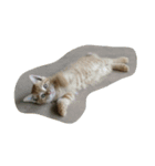 ねこ まったり（個別スタンプ：6）