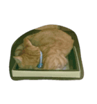 ねこ まったり（個別スタンプ：14）