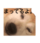 ミミのすたんぷ（個別スタンプ：3）