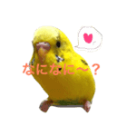 テロテロリーナ（個別スタンプ：4）