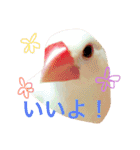 ふてぶてどうぶつ（個別スタンプ：7）