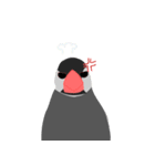 桜文鳥のぶんちゃん（個別スタンプ：22）