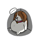 Beagle Fat Dog (WW)（個別スタンプ：16）