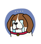 Beagle Fat Dog (WW)（個別スタンプ：24）