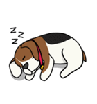 Beagle Fat Dog (WW)（個別スタンプ：37）