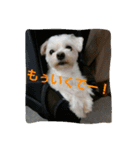 ぱふぃとぴのとその仲間達！（個別スタンプ：9）