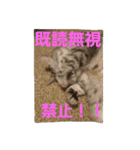 ぱふぃとぴのとその仲間達！（個別スタンプ：18）